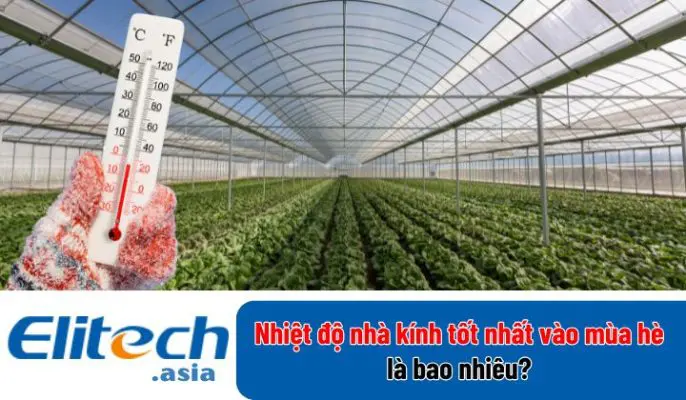 nhiet do nha kinh tot nhat vao mua he