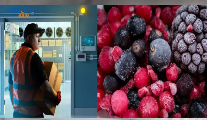 Độ ẩm tối ưu cho kho lạnh thủy sản