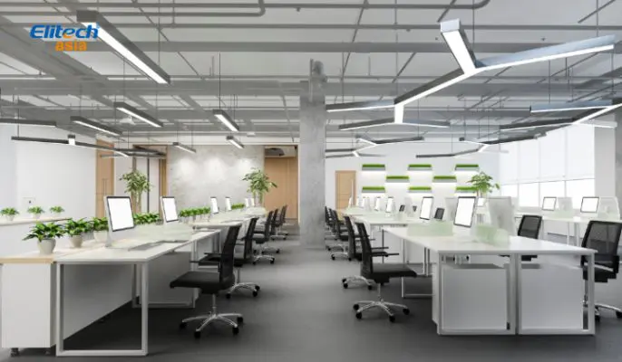 Trồng cây xanh trong văn phòng