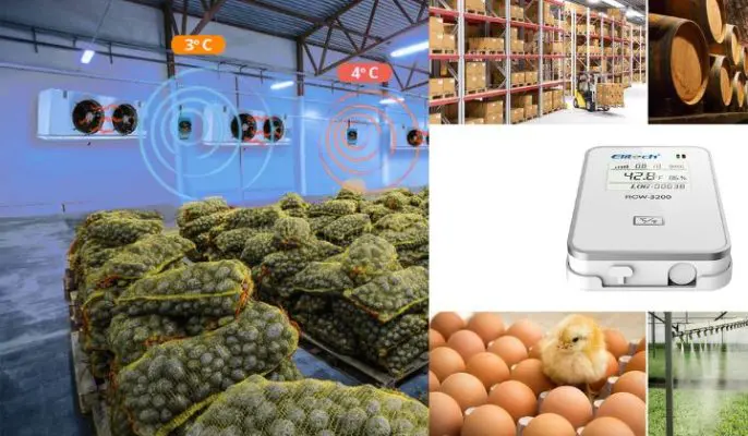 Ứng dụng IoT trong giám sát nhiệt độ kho lạnh: từ cơ bản đến nâng cao chon-thiet-bi-phu-hop-voi-quy-mo-kho