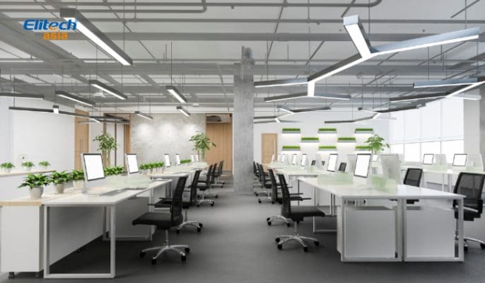 Trồng cây xanh trong văn phòng