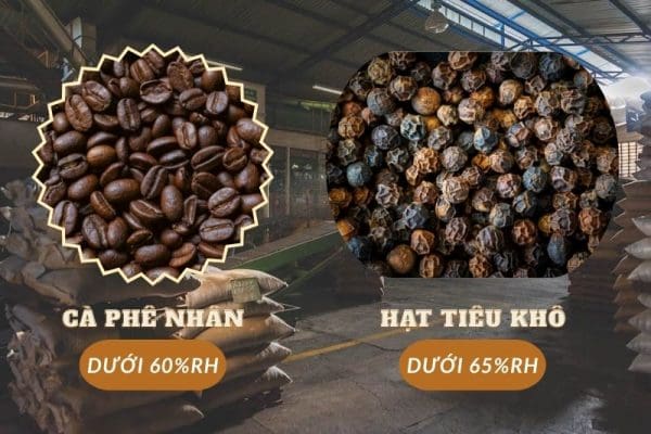 Độ ẩm không khí phù hợp cho kho bảo quản nông sản