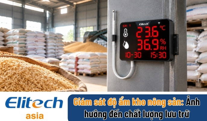 Giám sát độ ẩm kho nông sản tự động 24/7